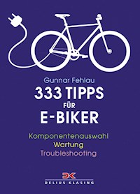 333 Tipps für E-Biker - Gunnar Fehlau - ebook