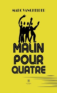 Malin pour quatre - Marc Vanghelder - ebook