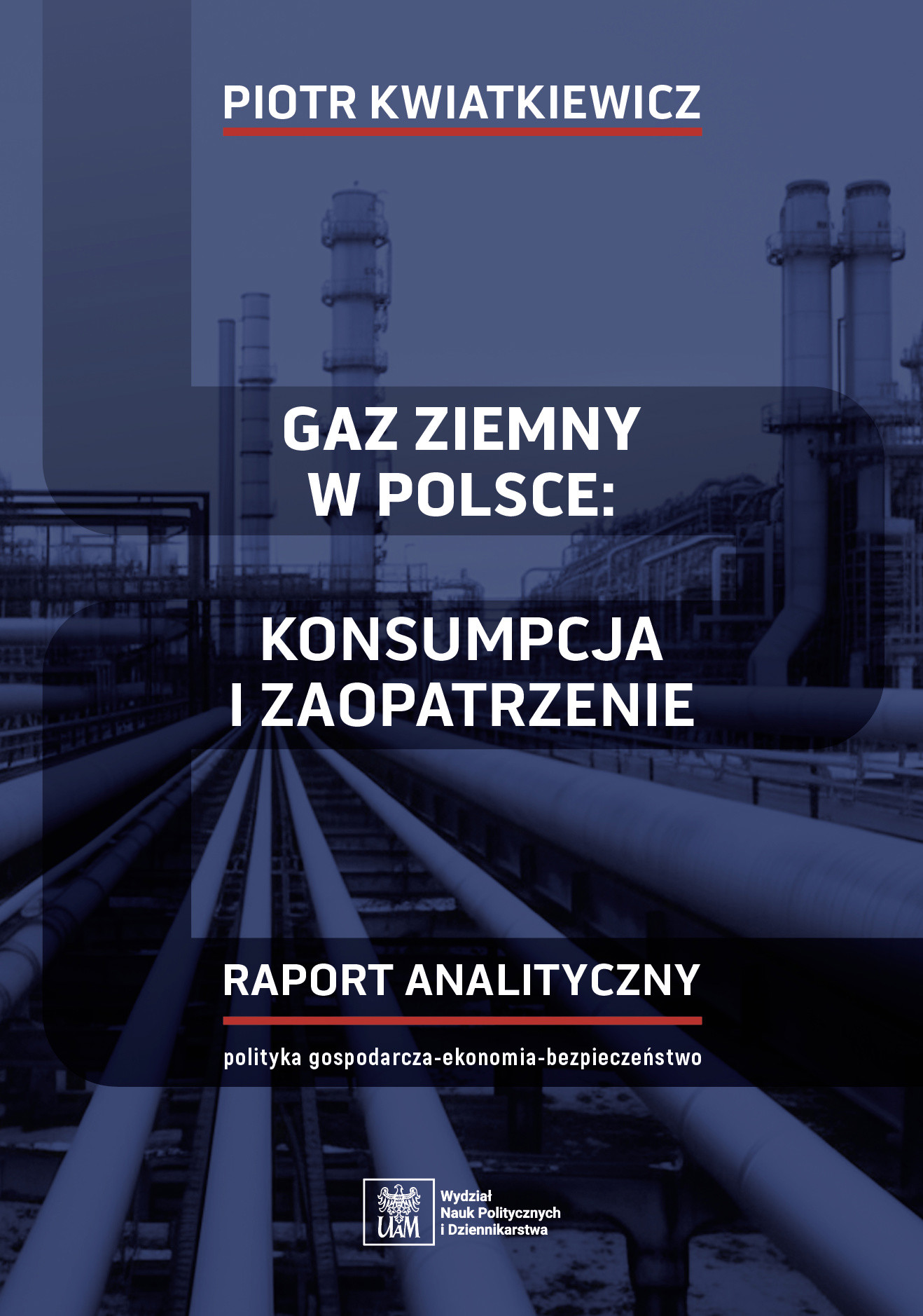 Gaz ziemny w Polsce Konsumpcja i zaopatrzenie. Raport Analityczny