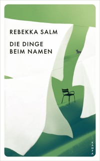 Die Dinge beim Namen - Rebekka Salm - ebook