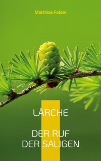 Lärche - Matthias Felder - ebook