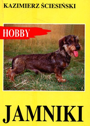 Jamniki - Kazimierz Ściesiński - książka