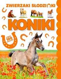 Koniki -  - książka