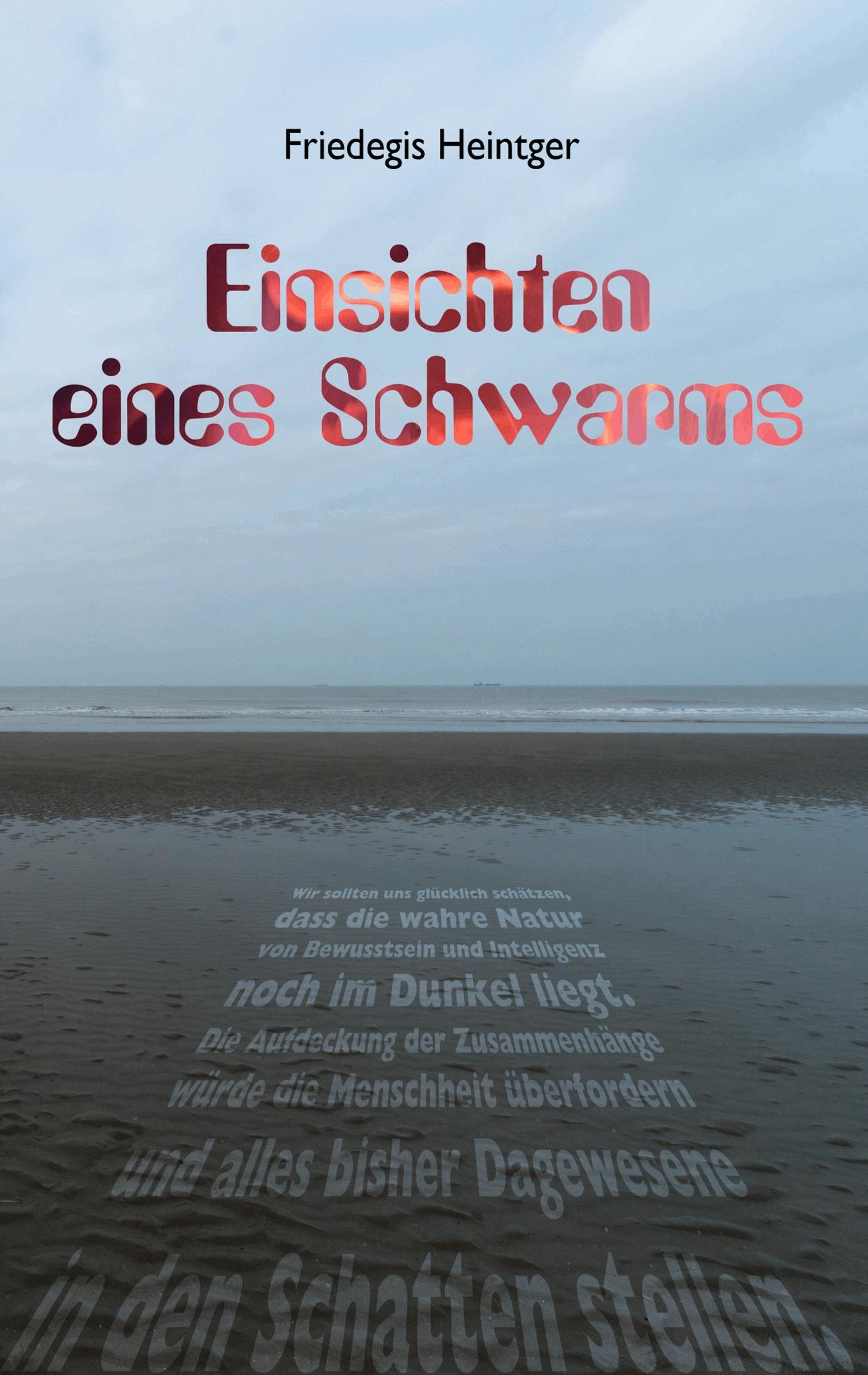 Einsichten eines Schwarms
