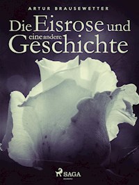 Die Eisrose und eine andere Geschichte - Artur Brausewetter - ebook