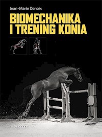 Biomechanika i trening konia - Denoix Jean-Marie - książka