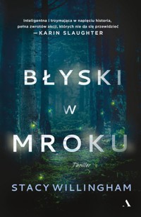 Błyski w mroku - Willingham Stacy - ebook + audiobook + książka