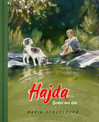 Hajda Beskid bez kitu - Strzelecka Maria - książka
