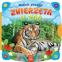 Maluch poznaje zwierzęta w zoo -  - książka
