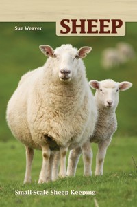 Sheep - Sue Weaver - ebook