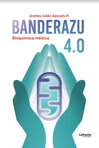 Banderazu 4.0 - Andrés Julián Salcedo P. - ebook