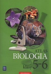 Biologia 5-6 Atlas - Michalik Anna - książka