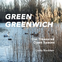 Green Greenwich - Candy Blackham - ebook