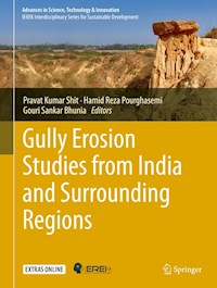 Gully Erosion Studies from India and Surrounding Regions -  - ebook