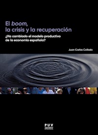 El boom, la crisis y la recuperación - Juan Carlos Collado Curiel - ebook