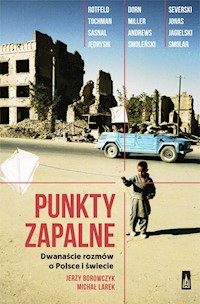 Punkty zapalne - Borowczyk Jerzy, Larek Michał - książka