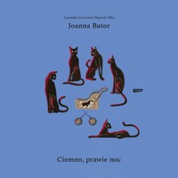Ciemno, prawie noc - Joanna Bator - audiobook