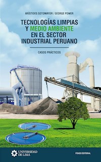 Tecnologías limpias y medio ambiente en el sector industrial peruano - Arístides Sotomayor - ebook