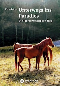 Unterwegs ins Paradies - Petra Bürger - ebook