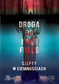 Droga do Lake Falls - Dormann Artur K. - książka