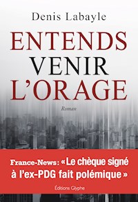 Entends venir l'orage - Denis Labayle - ebook