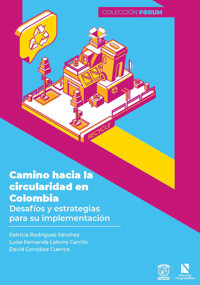 Camino hacia la circularidad en Colombia - Patricia Rodríguez Sánchez - ebook