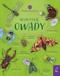 Młodzi przyrodnicy Rozpoznaję owady - Patrycja Zarawska - książka