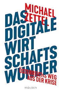 Das digitale Wirtschaftswunder - Michael Zettel - ebook