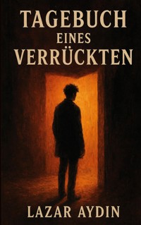 Tagebuch eines Verrückten - Lazar Aydin - ebook