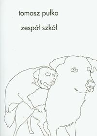 Zespół szkół - Pułka Tomasz - książka