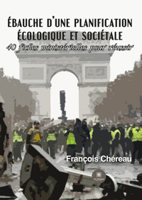 Ébauche d’une planification écologique et sociétale - François Chéreau - ebook