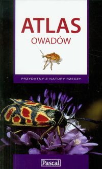 Atlas owadów - Przybyłowicz Łukasz - książka