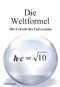 Die Weltformel - Halit Eroglu - ebook