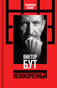 Виктор Бут - Александр Гасюк - ebook