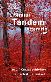 Literatur Tandem letterario -2021 -  - ebook