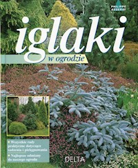 Iglaki w ogrodzie - Asseray Philippe - książka
