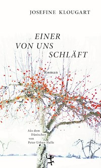 Einer von uns schläft - Josefine Klougart - ebook