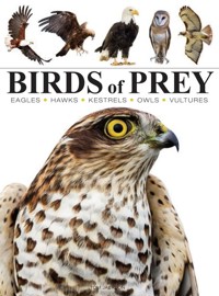 Birds of Prey - Jackson Tom - książka