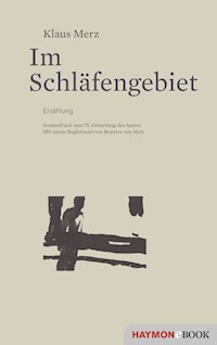 Im Schläfengebiet - Klaus Merz - ebook