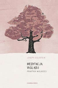 Medytacja wglądu - Goldstein Joseph - książka