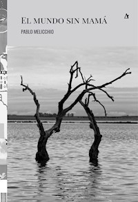 El mundo sin mamá - Pablo Melicchio - ebook