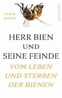 Herr Bien und seine Feinde - Timm Koch - ebook