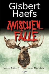 Zwischenfälle - Gisbert Haefs - ebook