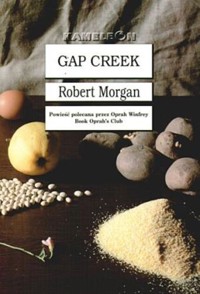 Gap Creek - Robert Morgan - ebook