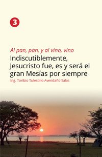 Al pan, pan, y al vino, vino 3 - Ing. Toribio Tulestilio Avendaño Salas - ebook