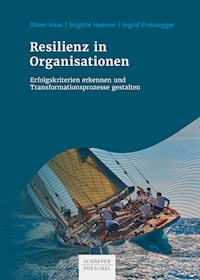 Resilienz in Organisationen - Oliver Haas - ebook