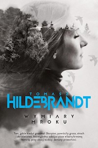 Wymiary mroku - Tomasz Hildebrandt - książka