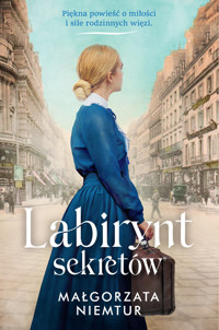 Labirynt sekretów - Małgorzata Niemtur - książka