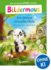 Bildermaus - Einsatz für die Insel-Detektive - Sonja Kaiblinger - ebook