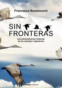 Sin fronteras - Buoninconti Francesca - ebook
